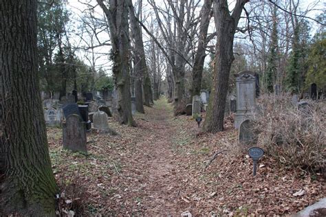 Zentralfriedhof - Fresk z Mistycznym Akcentem i Abstrakcją!